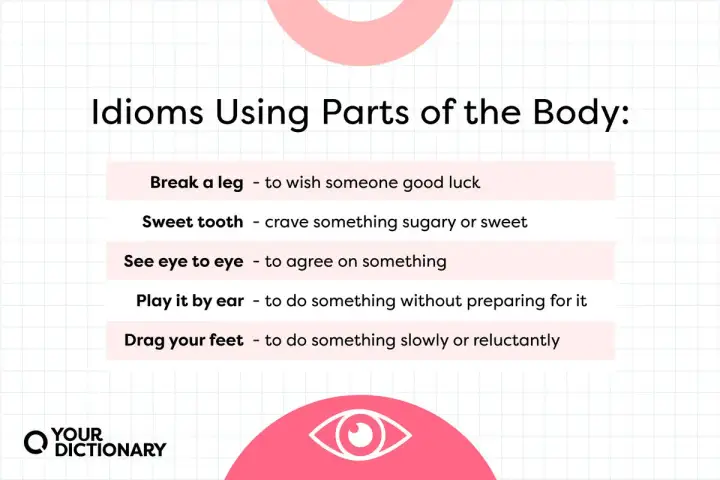 Lista de modismos con partes del cuerpo: "Break a leg" (buena suerte), "sweet tooth" (antojo dulce), "see eye to eye" (estar de acuerdo), "play it by ear" (improvisar), "drag your feet" (retrasarse).